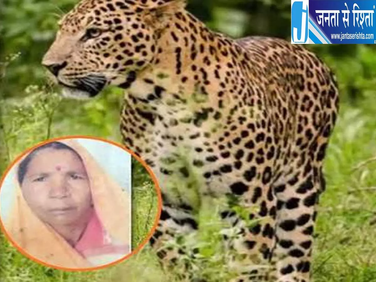 मुरादाबाद में तेंदुए का आतंक महिला की मौत के बाद गांव में PAC तैनात मुरादाबाद में तेंदुए का आतंक महिला की मौत के बाद गांव में PAC तैनात
