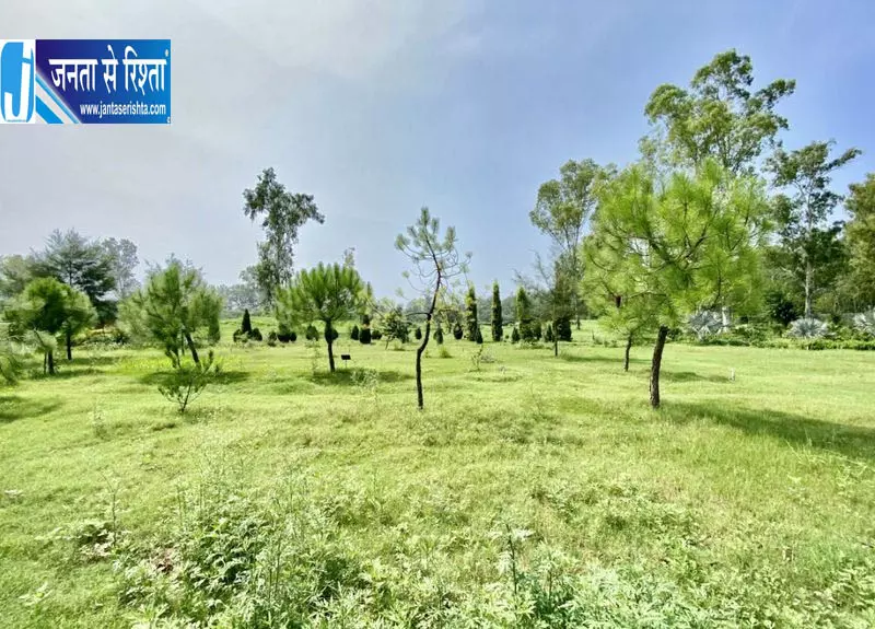 लुधियाना के 22 वार्डों में 176 प्रजातियों के 2 लाख पेड़: रिपोर्ट लुधियाना के 22 वार्डों में 176 प्रजातियों के 2 लाख पेड़: रिपोर्ट