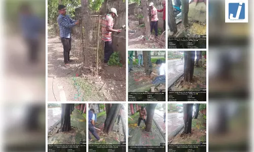 रायपुर शहर में 2111 ट्री गार्ड और 446 स्थानों से कांक्रीट-पेवर हटाए गए