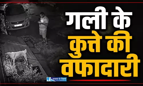 रोज खिलाई रोटी का कर्ज चुकाया, युवक को बचाने हमलावर कुत्ते से भिड़ा गली का बेजुबान रोज खिलाई रोटी का कर्ज चुकाया, युवक को बचाने हमलावर कुत्ते से भिड़ा गली का बेजुबान