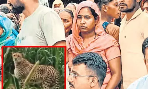 मुरादाबाद में तेंदुए का आतंक, तीन गांवों में दहशत