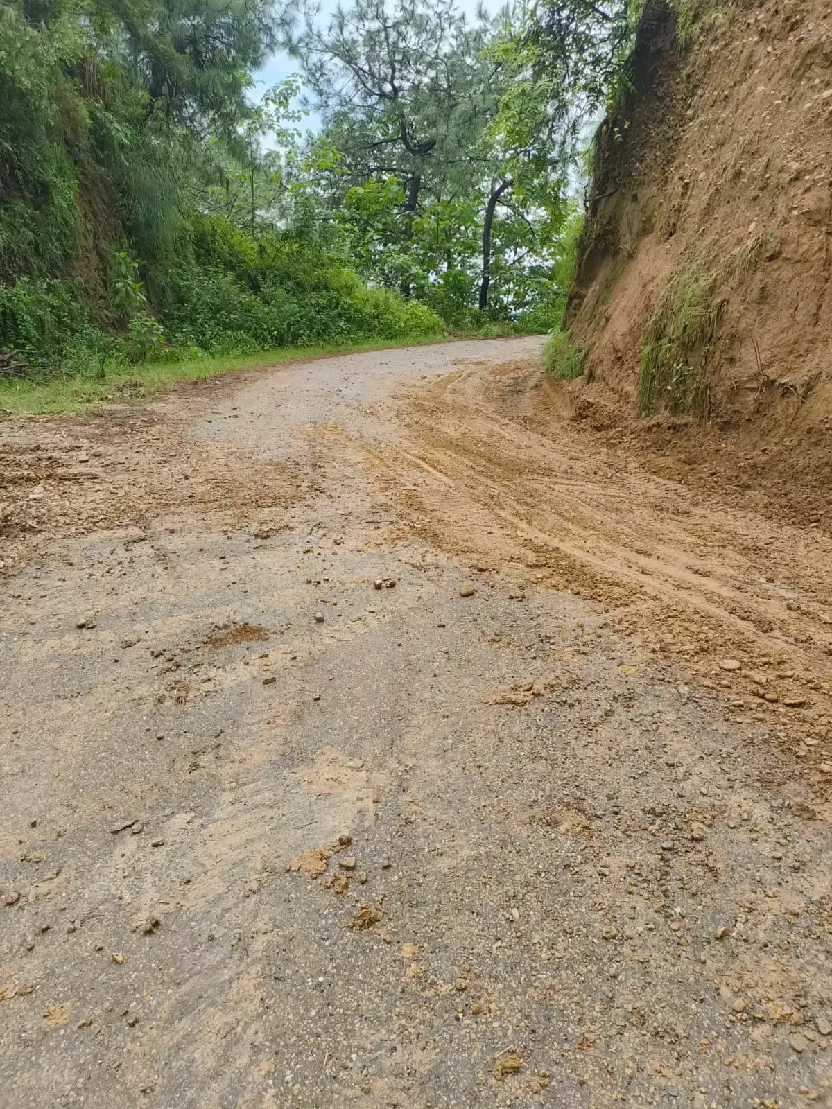 Hamirpur: भारी बारिश के बाद बंद सड़कें खुलीं, पीडब्ल्यूडी ने बहाल किया यातायात