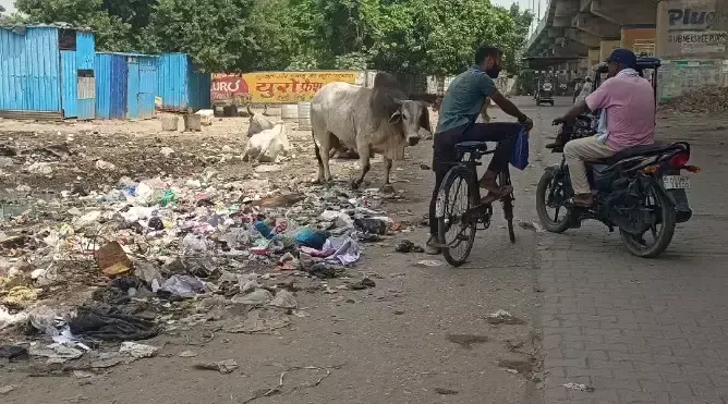 Kaithal: सफाई कर्मचारियों के हड़ताल पर जाने से नगर परिषद का कामकाज प्रभावित