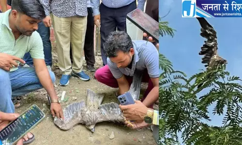 बरेली कॉलेज में मांझे में फंसा बाज, बचाने के लिए जुटे कर्मचारी; मौके पर लगी भीड़ बरेली कॉलेज में मांझे में फंसा बाज, बचाने के लिए जुटे कर्मचारी; मौके पर लगी भीड़