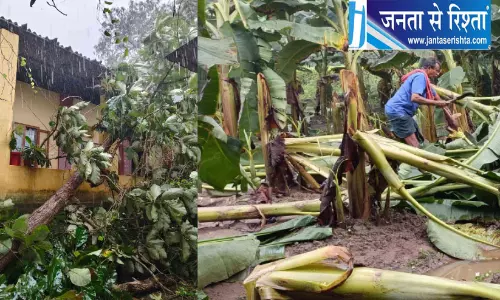 वाहीकडावु में बारिश और तेज हवाओं का कहर, कृषि भवन पर गिरा पेड़ वाहीकडावु में बारिश और तेज हवाओं का कहर, कृषि भवन पर गिरा पेड़