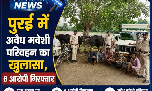 पुरई में अवैध मवेशी परिवहन का खुलासा, 6 आरोपी गिरफ़्तार