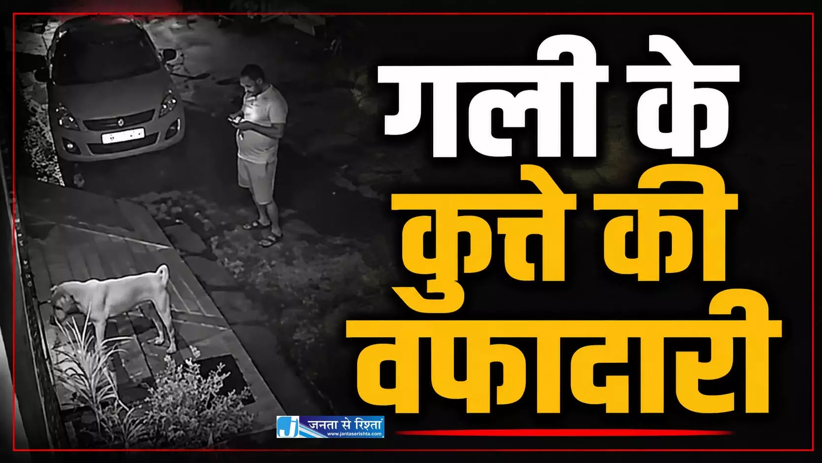 रोज खिलाई रोटी का कर्ज चुकाया, युवक को बचाने हमलावर कुत्ते से भिड़ा गली का बेजुबान रोज खिलाई रोटी का कर्ज चुकाया, युवक को बचाने हमलावर कुत्ते से भिड़ा गली का बेजुबान