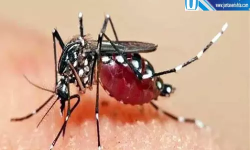 जम्मू में डेंगू का बढ़ा खतरा एक हफ्ते में मिले 15 नए मरीज