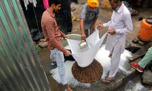 हिमाचल में नकली पनीर पर सरकार ने लगाई रोक