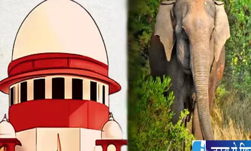 हाईकोर्ट को हल्द्वानी ले जाने की योजना पर कोर्ट का फैसला जल्द