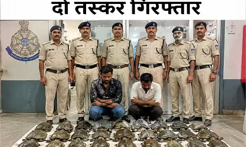 इंदौर में 30 कछुओं के साथ दो तस्कर गिरफ्तार