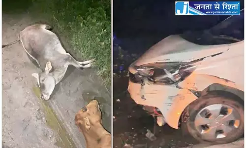 तेज रफ्तार कार ने 4 गौवंश को मारी टक्कर 3 की मौत, बजरंग दल और गौसेवकों ने संभाला मोर्चा