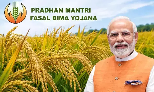 Andhra: फसल बीमा एनरोलमेंट में आंध्र प्रदेश राष्ट्रीय स्तर पर पांचवें स्थान पर है