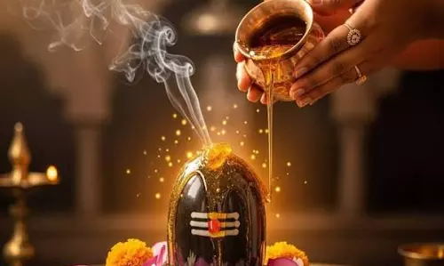पूजा में भगवान को शहद क्यों चढ़ाते हैं जानें धार्मिक महत्व पूजा में भगवान को शहद क्यों चढ़ाते हैं जानें धार्मिक महत्व