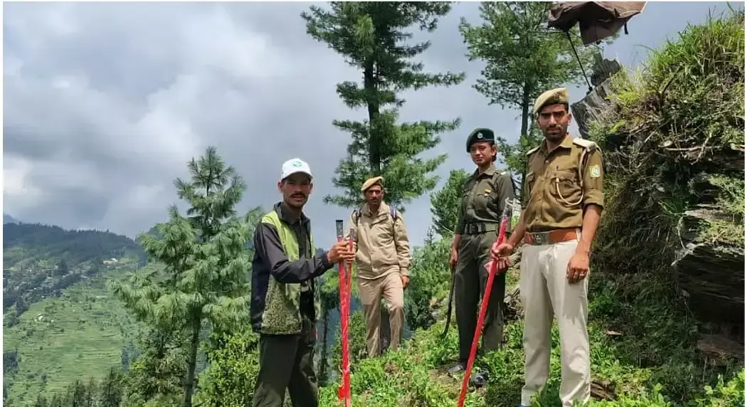 Mandi: हिमाचल के जंगलों में ग्लाइफोसेट का कहर, मिट्टी और जलस्रोतों पर बढ़ा खतरा