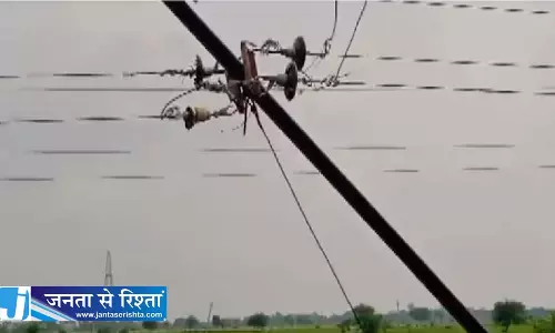 पेड़ की डाली काटना पड़ा भारी, तीन बेटियों के पिता की करंट से मौत