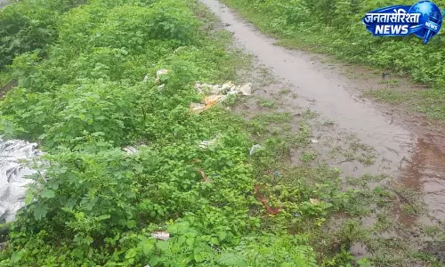 रायपुर एयरपोर्ट की 10 किलोमीटर परिधि में 41 वेस्ट डंप साइट चिन्हांकित