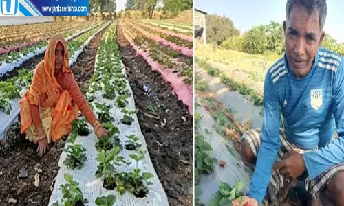 श्रावस्ती में किसानों की बढ़ेगी कमाई, सरकार देगी मुफ्त बीज