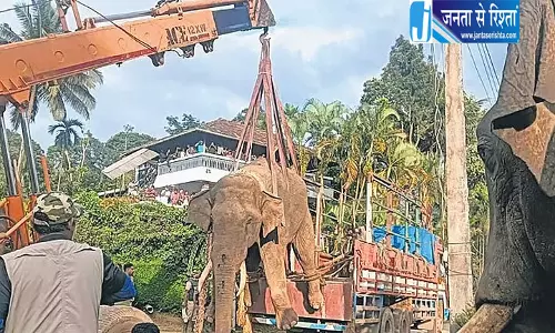 कोडागु में एक और जंगली हाथी पकड़ा गया, 120 से अधिक वनकर्मियों ने चलाया ऑपरेशन कोडागु में एक और जंगली हाथी पकड़ा गया, 120 से अधिक वनकर्मियों ने चलाया ऑपरेशन