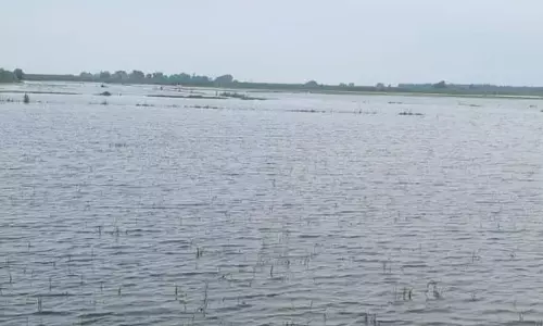 गंगा का जलस्तर खतरे के निशान से 14 सेंमी ऊपर, पटियाली के गांवों में पहुंचा बाढ़ का पानी
