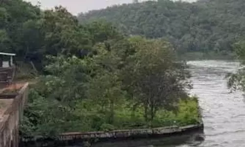 Telangana: कदम प्रोजेक्ट के पास का द्वीप पर्यटन स्थल के रूप में उभरा है Telangana: कदम प्रोजेक्ट के पास का द्वीप पर्यटन स्थल के रूप में उभरा है