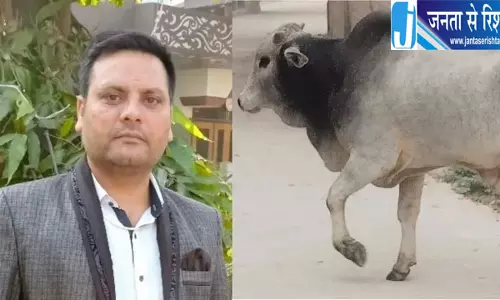 आवारा सांड से टकराकर किसान की मौत