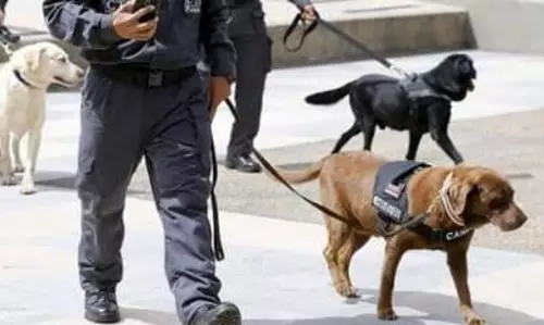 Mumbai: महाराष्ट्र सरकार का सराहनीय कदम, रिटायर्ड पुलिस डॉग्स की होगी आजीवन देखभाल