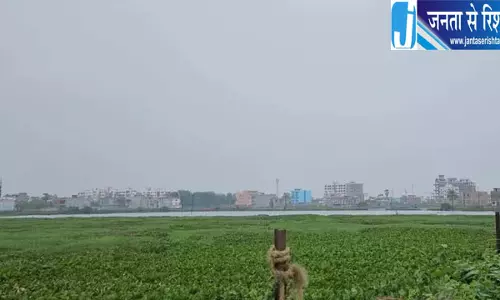 भागलपुर में गंगा का जलस्तर बढ़ा, खेतों में पहुंचा पानी भागलपुर में गंगा का जलस्तर बढ़ा, खेतों में पहुंचा पानी