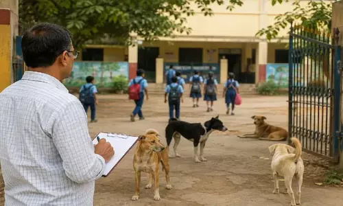 झारखंड के सरकारी स्कूलों में आवारा कुत्तों की निगरानी की जिम्मेदारी शिक्षकों पर