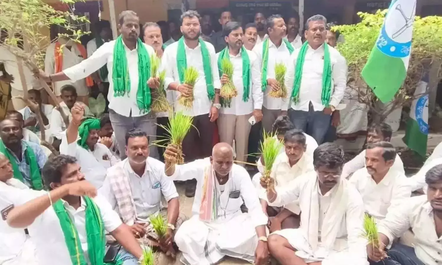 YSRCP ने LLC से पानी छोड़े जाने की मांग को लेकर धान की पौध लगाकर विरोध प्रदर्शन किया