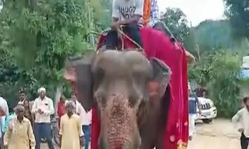 बेटे की कामयाबी पर पिता का अनोखा सेलिब्रेशन गांव में चर्चा का विषय बना