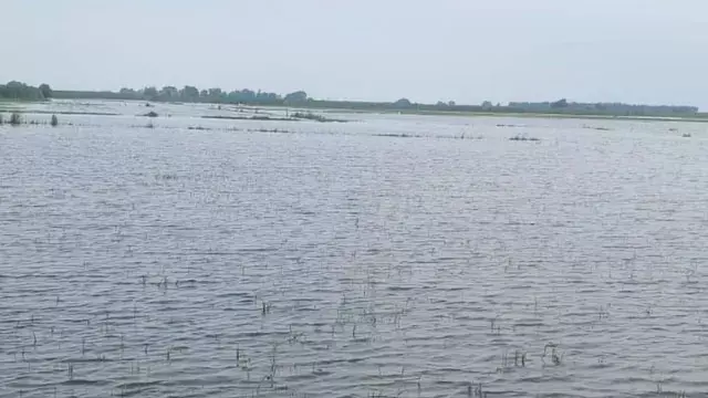 गंगा का जलस्तर खतरे के निशान से 14 सेंमी ऊपर, पटियाली के गांवों में पहुंचा बाढ़ का पानी गंगा का जलस्तर खतरे के निशान से 14 सेंमी ऊपर, पटियाली के गांवों में पहुंचा बाढ़ का पानी