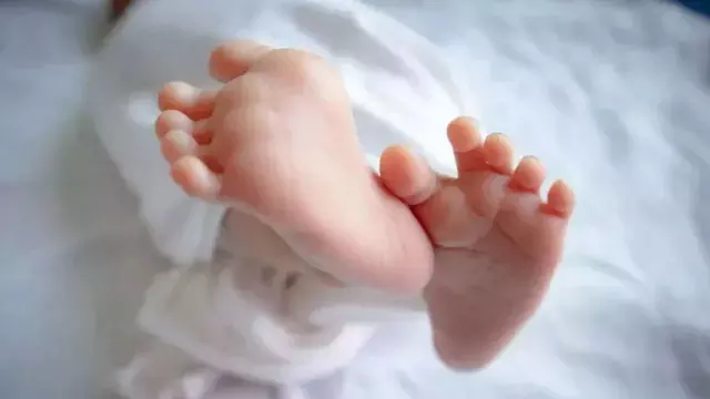 बरसाती नाले में मिला नवजात 15 दिन बाद जिंदगी की जंग हारा, 57 हजार दंपती की उम्मीदें टूटीं बरसाती नाले में मिला नवजात 15 दिन बाद जिंदगी की जंग हारा, 57 हजार दंपती की उम्मीदें टूटीं