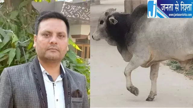 आवारा सांड से टकराकर किसान की मौत आवारा सांड से टकराकर किसान की मौत
