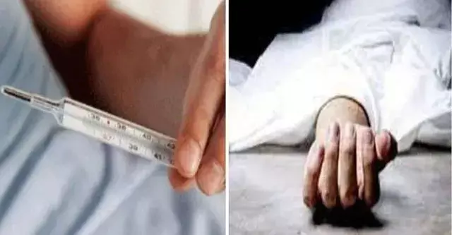गढ़ाकासदा गांव में बुखार का प्रकोप, दो बच्चों की मौत; एक दर्जन बीमार गढ़ाकासदा गांव में बुखार का प्रकोप, दो बच्चों की मौत; एक दर्जन बीमार