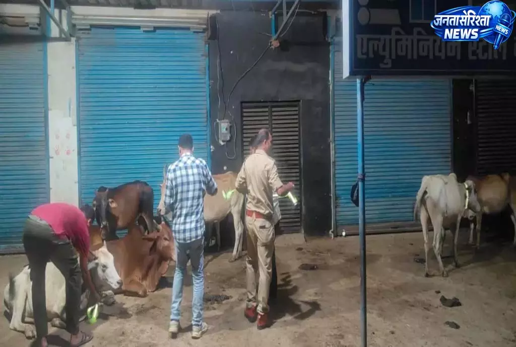 कबीरधाम पुलिस ने गौवंश के गले में लगाए रेडियम बेल्ट कबीरधाम पुलिस ने गौवंश के गले में लगाए रेडियम बेल्ट