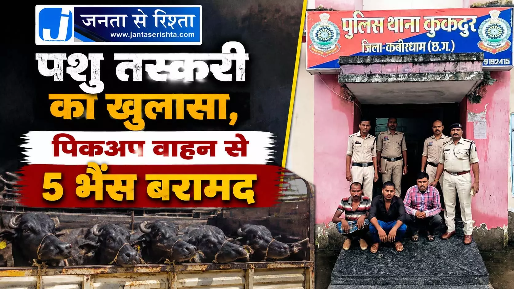 पशु तस्करी का खुलासा, पिकअप वाहन से 5 भैंस बरामद पशु तस्करी का खुलासा, पिकअप वाहन से 5 भैंस बरामद