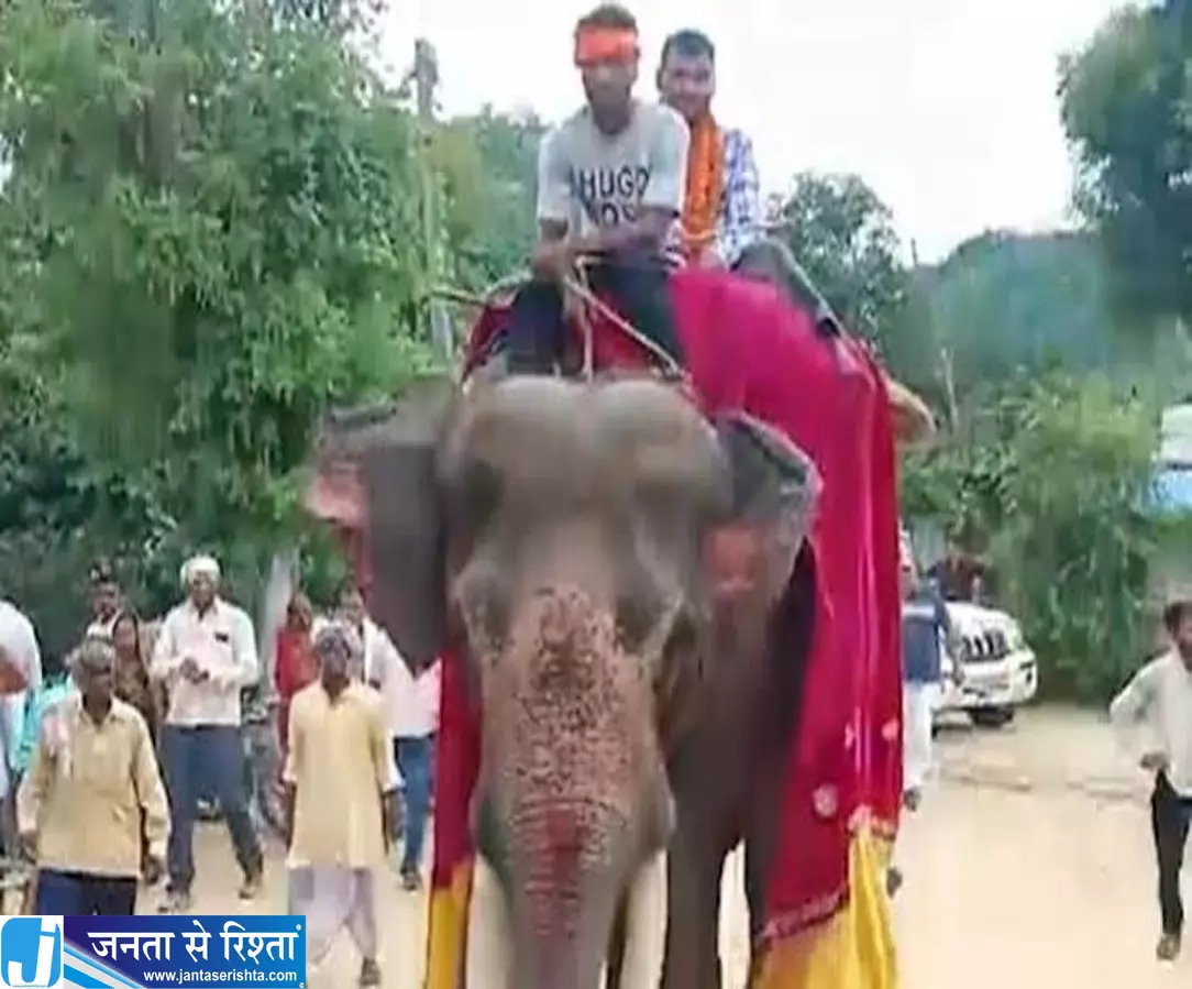 बेटे की कामयाबी पर पिता का अनोखा सेलिब्रेशन गांव में चर्चा का विषय बना बेटे की कामयाबी पर पिता का अनोखा सेलिब्रेशन गांव में चर्चा का विषय बना