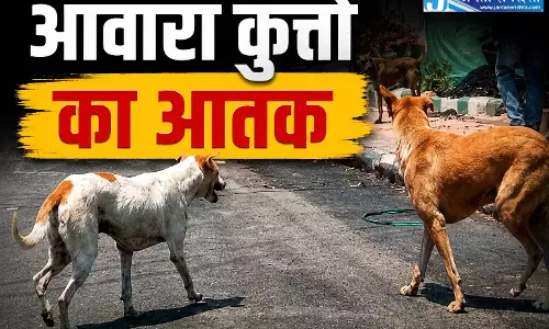 आवारा कुत्तों ने 3 साल की मासूम पर किया हमला, चेहरे पर लगे 12 टांके आवारा कुत्तों ने 3 साल की मासूम पर किया हमला, चेहरे पर लगे 12 टांके