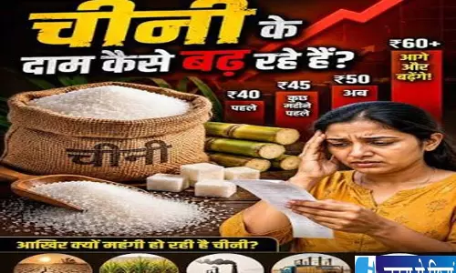 चीनी महंगाई का सच सामने आया एथेनॉल नहीं इन वजहों से बढ़े दाम