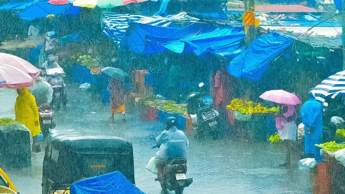 राज्य आज में व्यापक बारिश की संभावना; चार जिलों में येलो अलर्ट, मछली पकड़ने पर रोक