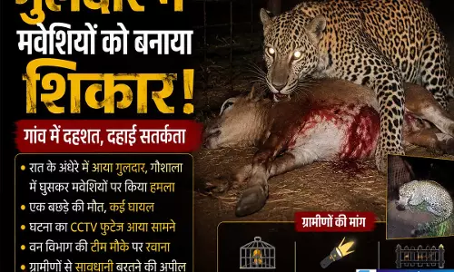 गुलदार की दहशत से सहमे लोग घरों से निकलना हुआ मुश्किल पशुओं पर बढ़े हमले