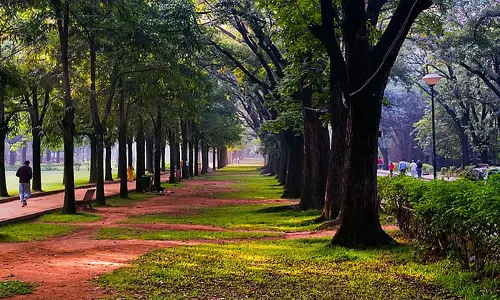 कर्नाटक कैबिनेट ने पार्क संरक्षण कानून में संशोधन को मंजूरी दी