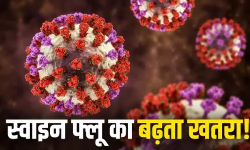 दुर्ग में स्वाइन फ्लू का पहला केस, बच्ची चपेट में आई