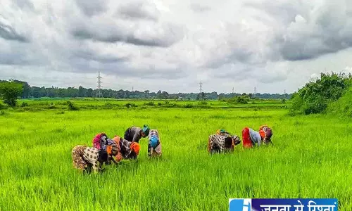प्राकृतिक खेती की ओर कदम: 18 लाख किसान पुनर्योजी कृषि से जुड़े प्राकृतिक खेती की ओर कदम: 18 लाख किसान पुनर्योजी कृषि से जुड़े