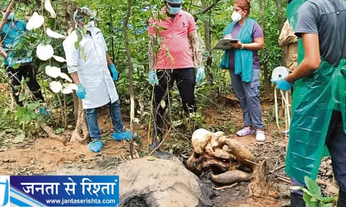 Riamal जंगल में हाथी का शव मिलने से जांच शुरू