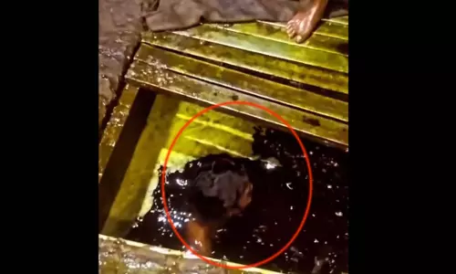 ऐसी हरकत...सरसों तेल बनाने के तरीके पर उठे सवाल, वायरल वीडियो से मचा हड़कंप ऐसी हरकत...सरसों तेल बनाने के तरीके पर उठे सवाल, वायरल वीडियो से मचा हड़कंप