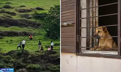 मालिक लौटेंगे इसी आस में बैठा रहा कुत्ता परिवार की दर्दनाक कहानी ने झकझोरा