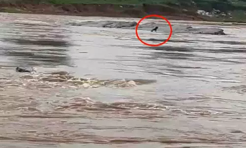 एनीकट पार करते समय कनहर नदी में बहा युवक, SDRF का रेस्क्यू अभियान जारी एनीकट पार करते समय कनहर नदी में बहा युवक, SDRF का रेस्क्यू अभियान जारी