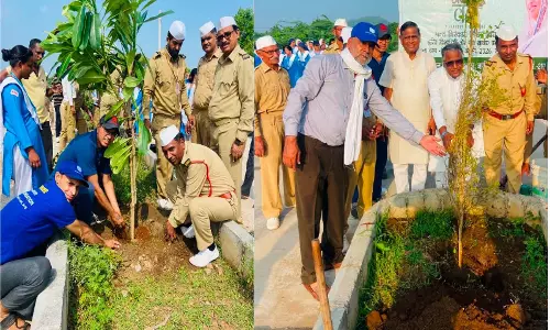 संत निरंकारी मिशन ने रोपे 150 से अधिक फलदार व छायादार पौधे, पर्यावरण संरक्षण का लिया संकल्प